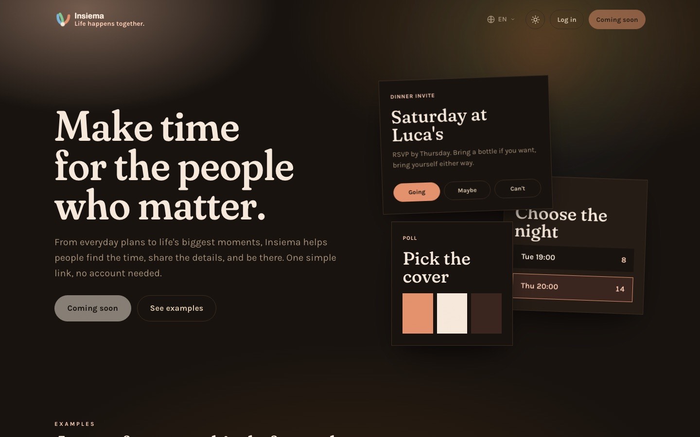 Insiema website screenshot